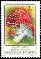 (1986-070) Марка Венгрия "Мухомор красный"    Ядовитые грибы II Θ