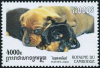 (№2000-2114) Марка Камбоджа 2000 год "Такса canis волчанка familiaris", Гашеная