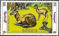 (1990-024) Марка Монголия "С детенышем"    Фауна Монголии. Кабарга III Θ
