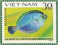 (1982-077) Марка Вьетнам "Тефринекты"    Камбала III Θ