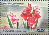 2007-040  Марка из блока Россия Гладиолус  Флора. Цветы III O