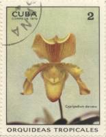 (1972-010) Марка Куба "Циприпедиум"    Орхидеи III Θ