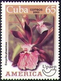 (№4558) Марка Куба 2003 год &quot;Encyclia красноплодный&quot;, Негашеная
