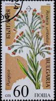 (1989-015) Марка Болгария "Риндера зонтичная"   Исчезающие растения III Θ