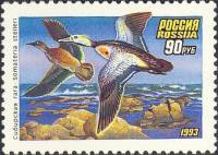 1993-038 Марка Россия Сибирская гага  Утки III O