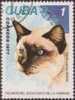 (1977-069) Марка Куба "Сиамская кошка"    Зоопарк в Гаване III O