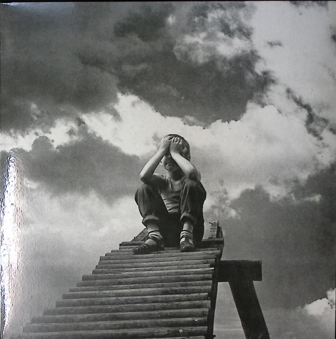 Пластинка виниловая , Реки Мелодия 300 мм. Excellent