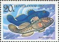 1983-054 Марка СССР Бычок-кругляк  Промысловые рыбы III Θ