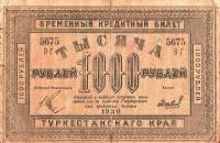 (Шевелёв) Банкнота Туркестан Ташкент 1920 год 1 000 рублей    UNC