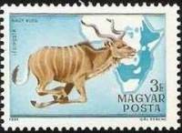 (1981-007) Марка Венгрия "Большой куду"    100 лет со дня рождения Каймана Киттенбергера. Фауна Афри