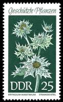 (1969-028) Марка Германия (ГДР) "Синеголовник приморский"    Растения под защитой III O