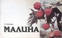 Книга Малина 1991 Е. Ярославцев Москва Мягкая обл. 42 с. С цв илл