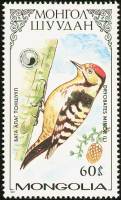 (1987-020) Марка Монголия "Малый пестрый дятел"    Птицы семейства дятловых III Θ
