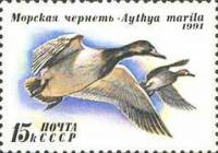 (1991-056) Марка СССР "Морская чернеть"   Утки III Θ