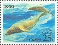1990-089 Марка СССР Тюлень сивуч  Морские животные III Θ