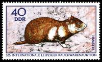 (1970-011) Марка Германия (ГДР) "Хомяк"    Выставка меха III Θ