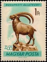 (1961-007) Марка Венгрия "Ибекс"    Зоопарк Будапешта II Θ
