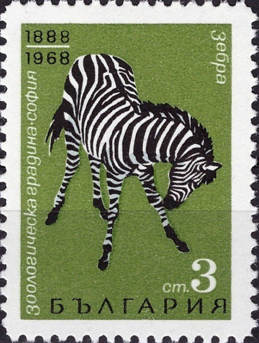 (1968-044) Марка Болгария &quot;Зебра&quot;   80-летие Софийского зоопарка III Θ