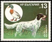 (1985-121) Марка Болгария "Английский сеттер"   Охотничья собака III Θ