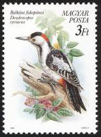 (1990-007) Марка Венгрия "Сирийский дятел"    Защита птиц II Θ
