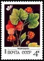 1982-017 Марка СССР Морошка  Дикорастущие ягоды III O