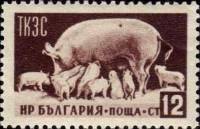 (1955-003) Марка Болгария "Свиньи"   Сельское хозяйство и современное строительство I Θ