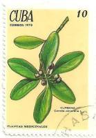 (1970-007) Марка Куба "Канелла"    Лекарственные растения III Θ