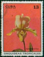 (1972-014) Марка Куба "Буколический башмачок"    Орхидеи III O