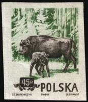 (1954-052a) Марка Польша "Зубр" Без перфорации   Охраняемые животные III O