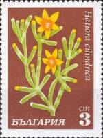 (1970-022) Марка Болгария "Хатиора цилиндрическая"   Кактусы III Θ