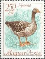 (1968-027) Марка Венгрия "Серый гусь"    Конгресс Международного орнитологического совета по охране 