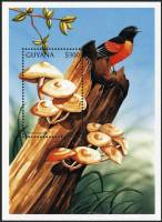 (№1997-530) Блок марок Гайана 1997 год "Pholiota mutabilis", Гашеный