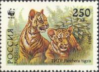 1993-063 Марка Россия Тигрята  Уссурийский тигр III O