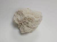 Морской коралл "Мозговик", натуральный (сост. на фото)