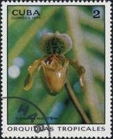 (1973-018) Марка Куба "Башмачок"    Орхидеи II Θ