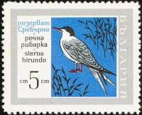 (1968-062) Марка Болгария "Крачка речная"   Заповедник «Серебряный» III O