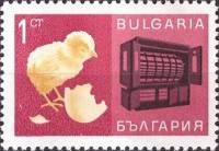 (1967-034) Марка Болгария "Цыплёнок и инкубатор"   Достижения народного хозяйства (26.06) II Θ