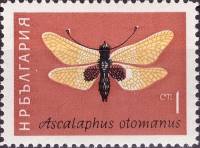(1964-027) Марка Болгария "Аскалаф"   Насекомые II Θ
