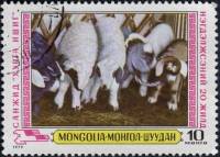 (1979-031) Марка Монголия "Ягнятник"    Картины сельского хозяйства III Θ