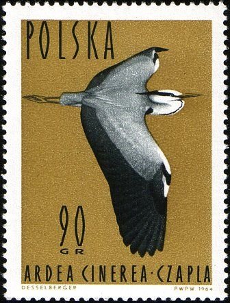 (1964-037) Марка Польша &quot;Серая цапля&quot;   Водоплавающие птицы III Θ