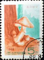 (1968-012) Марка Северная Корея "Колпак кольчатый"   Грибы III O