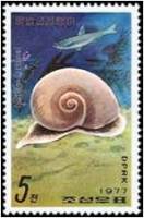 (1977-085) Марка Северная Корея "Морская улитка"   Морские улитки и рыбы III Θ