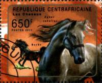 (№2011-3074) Марка Центрально-Африканская Республика 2011 год "Барб и equus издавна тада этих животн