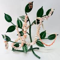 Морской набор украшений из ракушек: ожерелье, чокер, серьги, браслеты 6 предметов