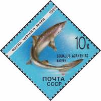 (1991-003) Марка СССР "Колючая акула катран"   Фауна Чёрного моря III Θ