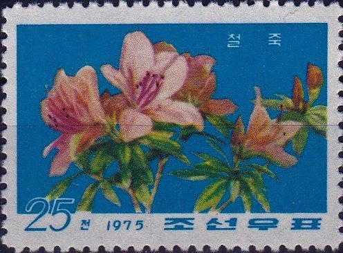 (1975-075) Марка Северная Корея &quot;Розовый рододендрон&quot;   Цветы III Θ