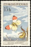 (1961-061) Марка Чехословакия "Оранжевый наконечник "    Бабочки III O