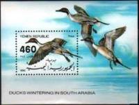 (№1990-2) Блок марок Йеменская Республика 1990 год "Шилохвость anas острая", Гашеный