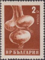 (1958-031) Марка Болгария "Лук" Перф греб 13   Стандартный выпуск. Овощи III Θ