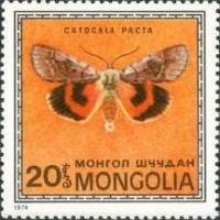 (1974-004) Марка Монголия "Ленточница розовая"    Насекомые Монголии: бабочки III Θ